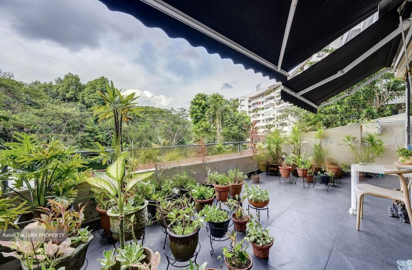 Clementi Park (D21), Condominium #466997781